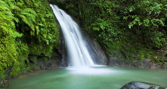 Guadeloupe Island