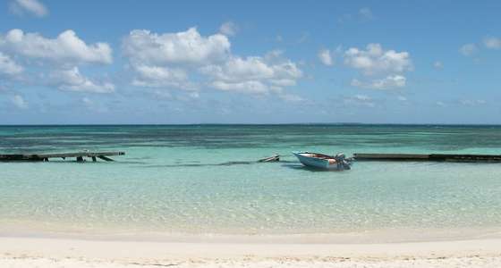 Guadeloupe Island