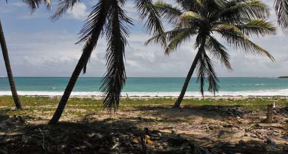 New Year's Eve Charter | Martinique and Grenadines | Catamaran Holiday | Caribbean