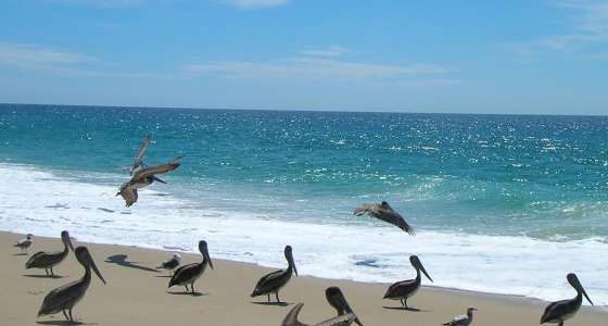 Baja California