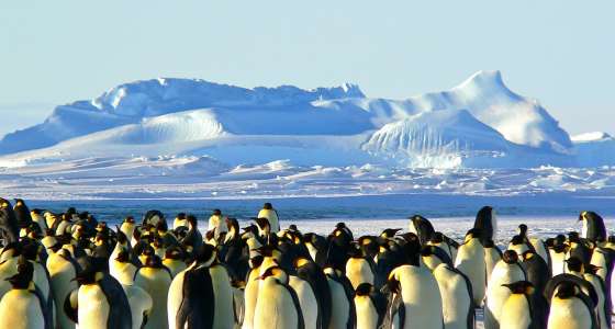 Antarctica landscape.