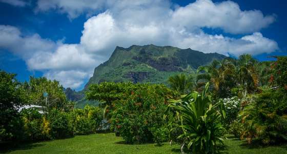 Tuamotus Islands