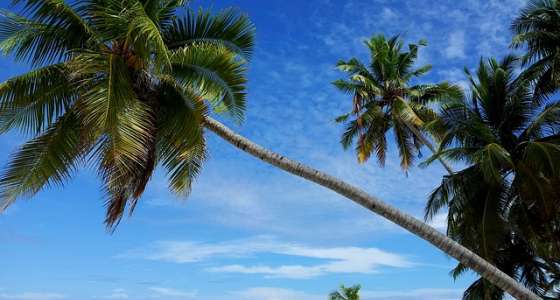 Maldives Archipelago
