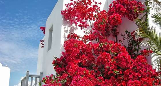 Ionian Islands Greece