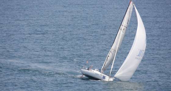 Class 40 Pogo sailing